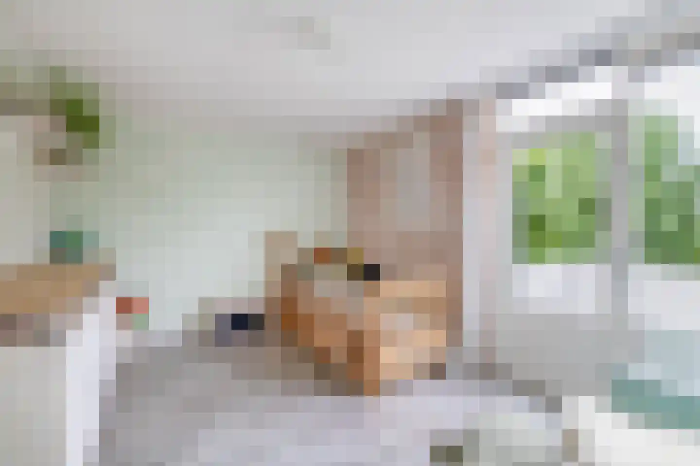 Wilgenlaan 12 Lisse thumbnail 30