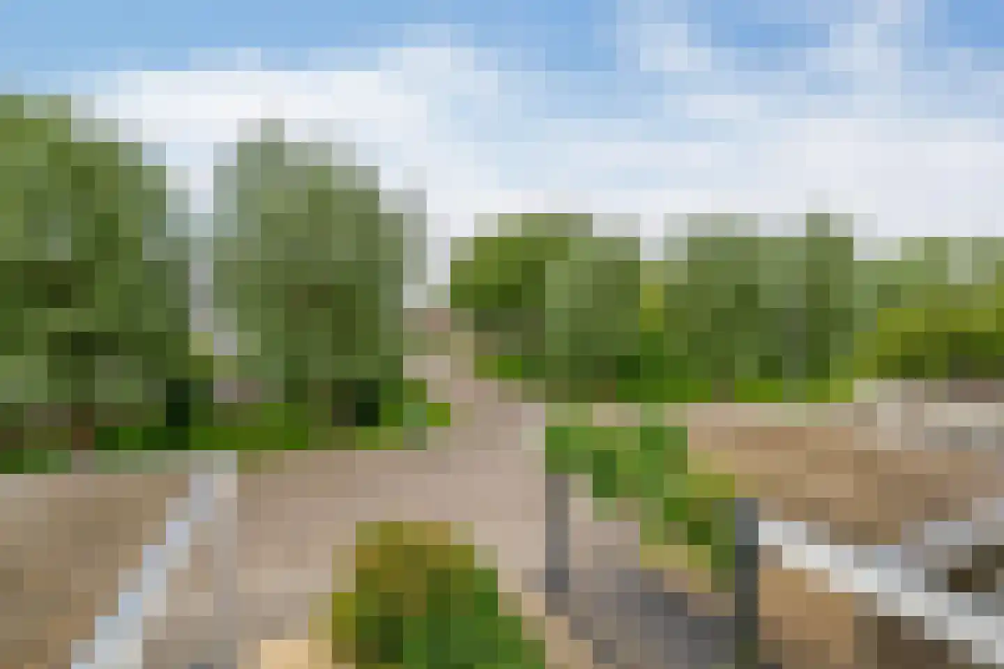 Wilgenlaan 12 Lisse thumbnail 33