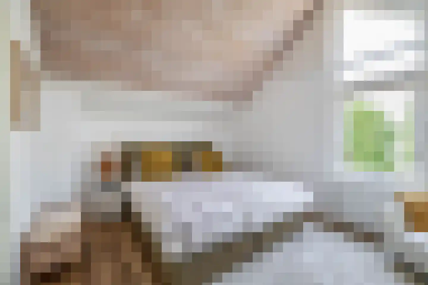 Wilgenlaan 12 Lisse thumbnail 38