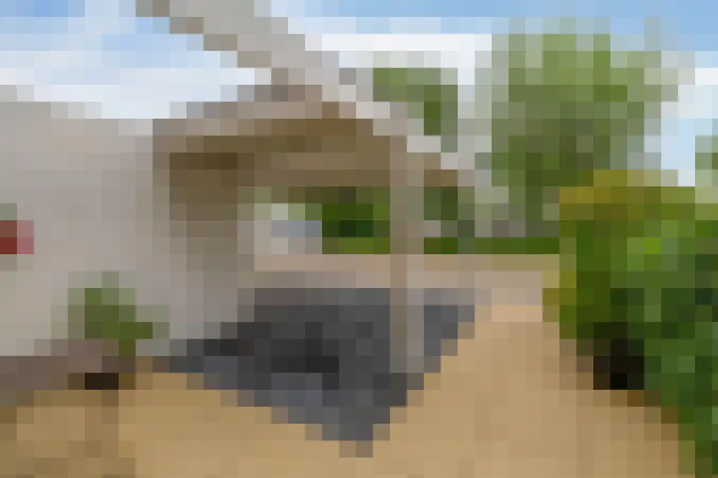 Wilgenlaan 12 Lisse thumbnail 48