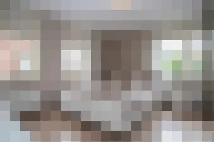 Wilgenlaan 12 Woudenberg thumbnail 20