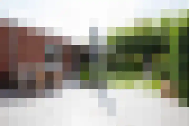 Wilgenlaan 12 Woudenberg thumbnail 40
