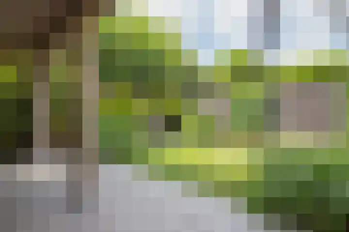 Wilgenlaan 12 Woudenberg thumbnail 42