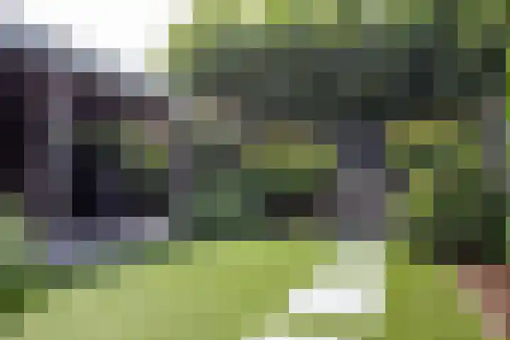 Wilgenlaan 12 Woudenberg thumbnail 43