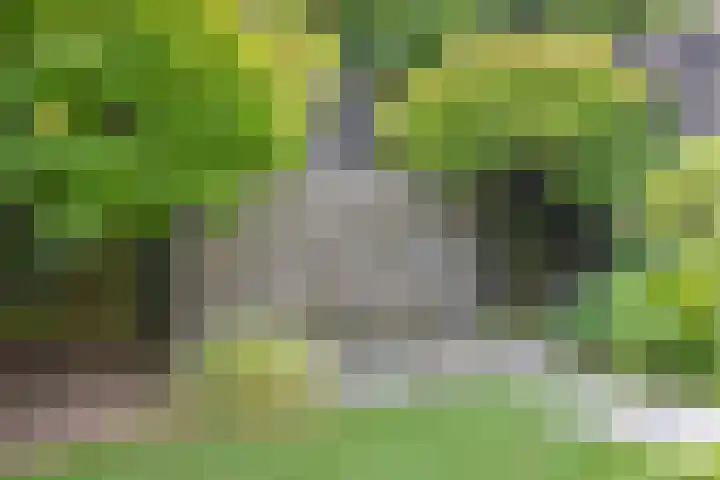Wilgenlaan 12 Woudenberg thumbnail 44