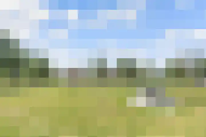 Wilgenlaan 12 Woudenberg thumbnail 45