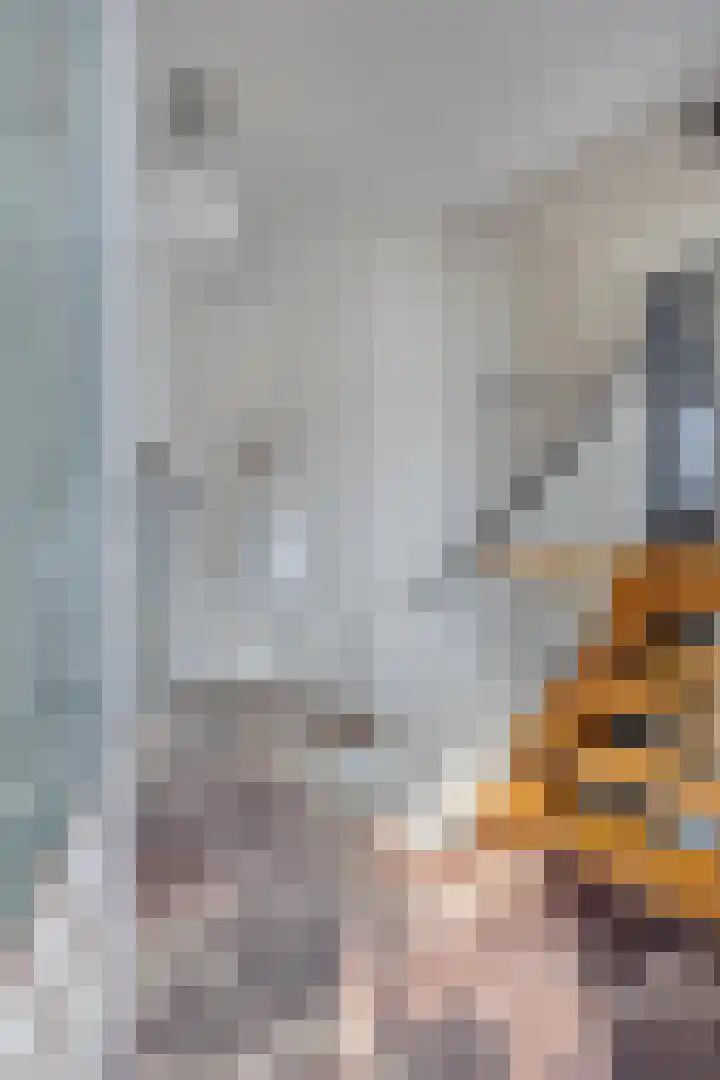 Wilgenlaan 13 Maasbracht thumbnail 11