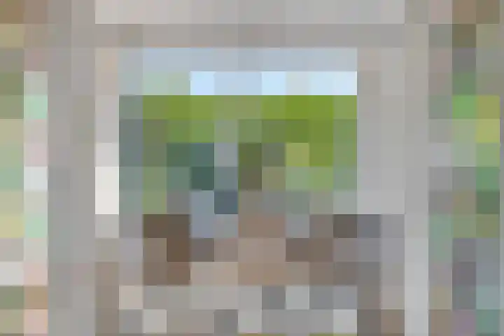 Wilgenlaan 13 Maasbracht thumbnail 20