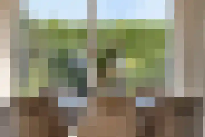 Wilgenlaan 13 Maasbracht thumbnail 21