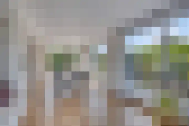 Wilgenlaan 13 Maasbracht thumbnail 23