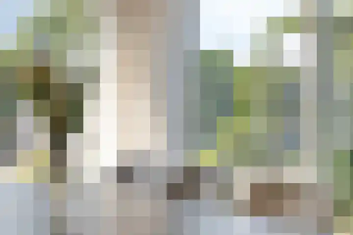 Wilgenlaan 13 Maasbracht thumbnail 25