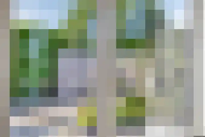 Wilgenlaan 13 Maasbracht thumbnail 26