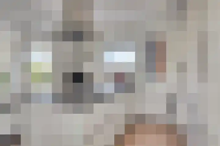 Wilgenlaan 13 Maasbracht thumbnail 27