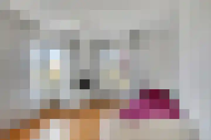 Wilgenlaan 13 Maasbracht thumbnail 40