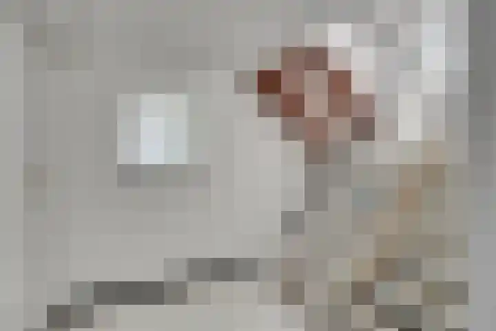 Wilgenlaan 13 Maasbracht thumbnail 43