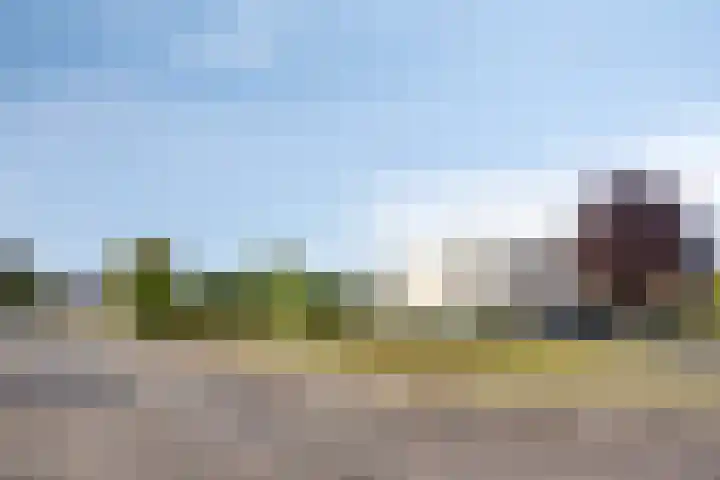 Wilgenlaan 13 Maasbracht thumbnail 5