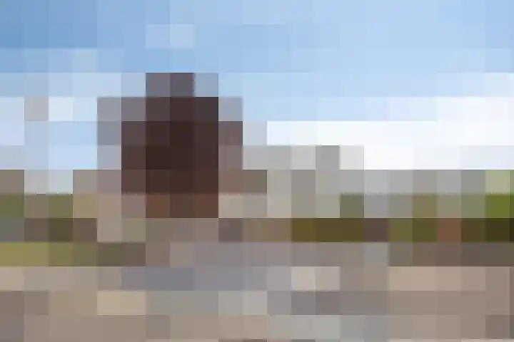 Wilgenlaan 13 Maasbracht thumbnail 55