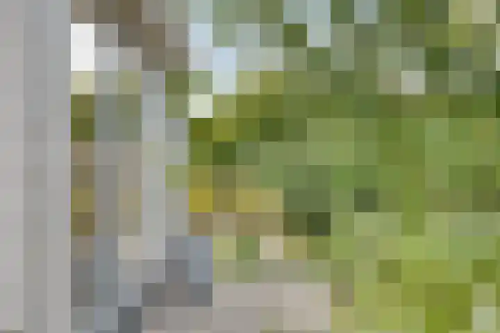 Wilgenlaan 13 Maasbracht thumbnail 58