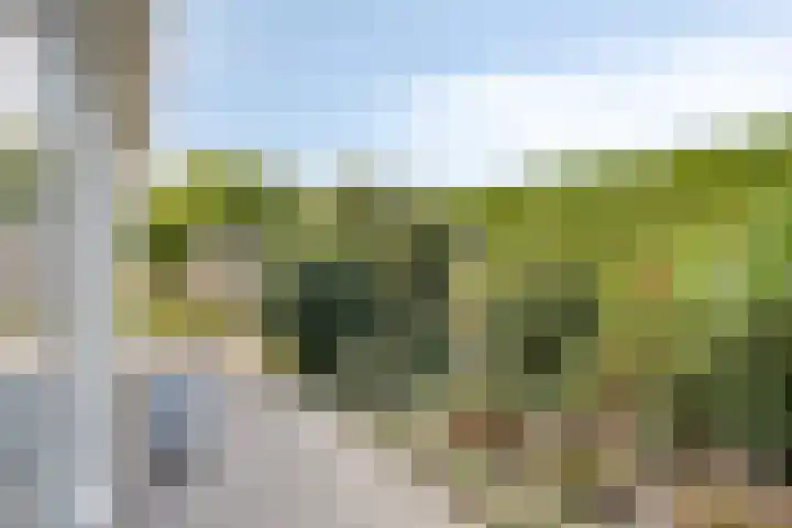Wilgenlaan 13 Maasbracht thumbnail 59
