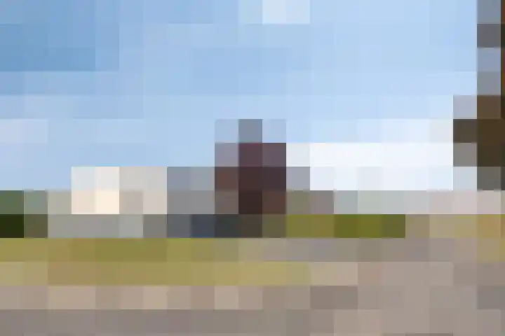 Wilgenlaan 13 Maasbracht thumbnail 6
