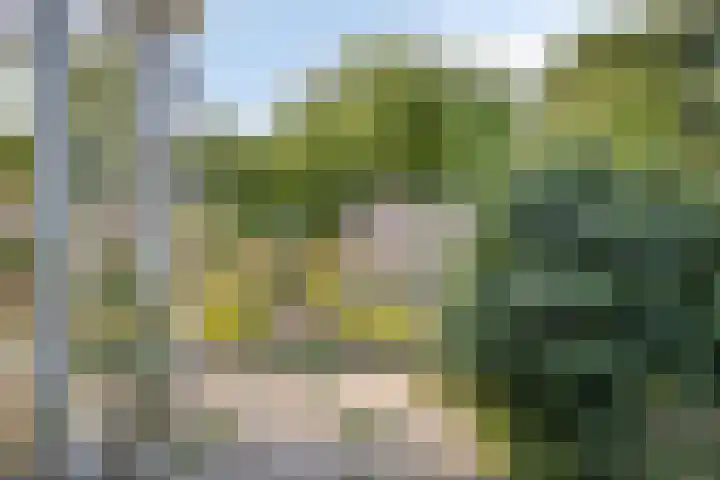 Wilgenlaan 13 Maasbracht thumbnail 60