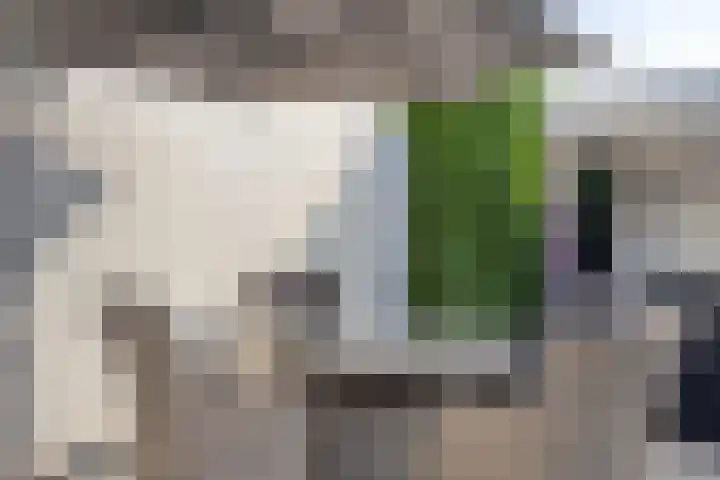 Wilgenlaan 13 Maasbracht thumbnail 65
