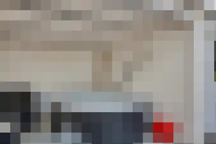 Wilgenlaan 13 Maasbracht thumbnail 67