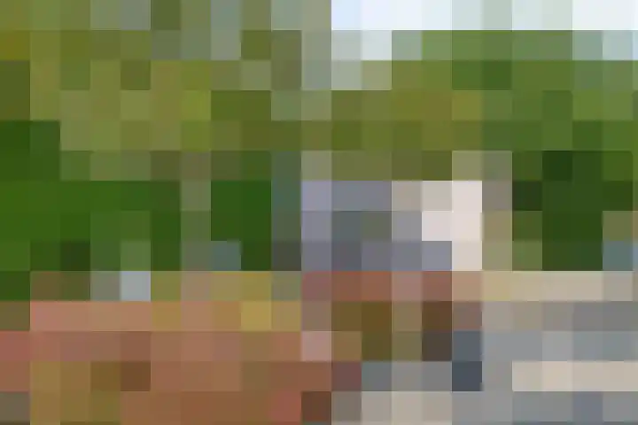 Wilgenlaan 13 Maasbracht thumbnail 68