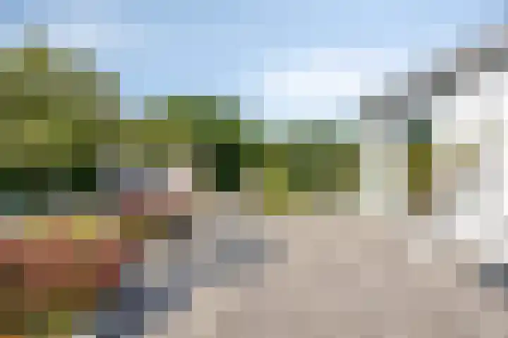 Wilgenlaan 13 Maasbracht thumbnail 69
