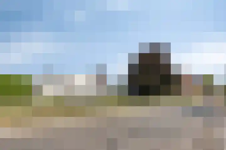 Wilgenlaan 13 Maasbracht thumbnail 7