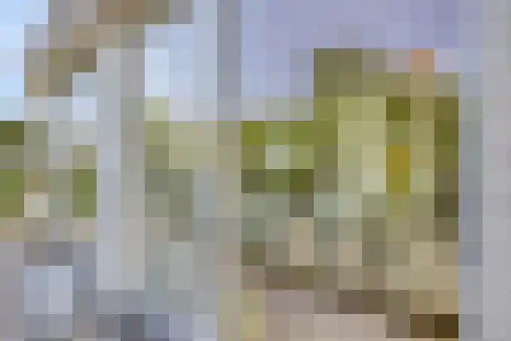Wilgenlaan 13 Maasbracht thumbnail 70
