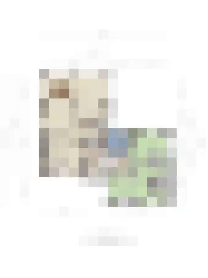 Wilgenlaan 13 Maasbracht thumbnail 71