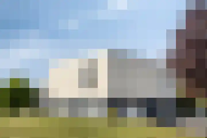 Wilgenlaan 13 Maasbracht thumbnail 8