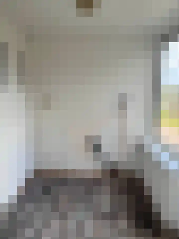 Wilgenlaan 13 Middenmeer thumbnail 8
