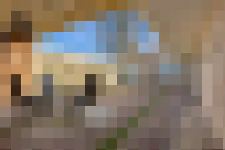 Wilgenlaan 13 Renswoude thumbnail 25