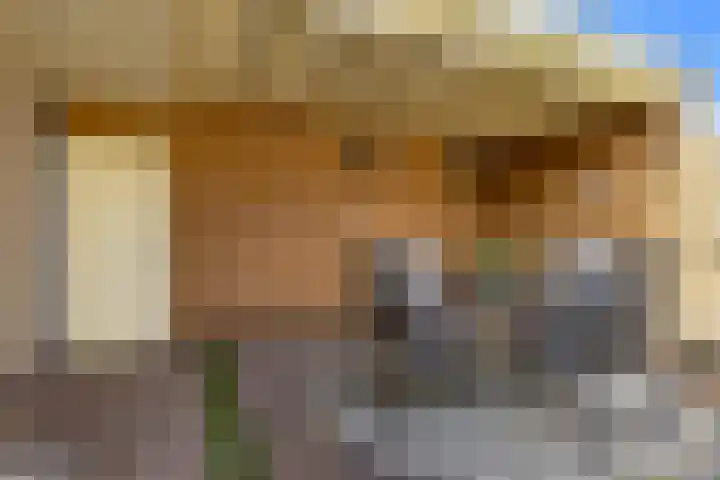 Wilgenlaan 13 Renswoude thumbnail 27