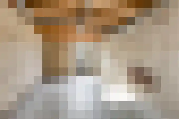 Wilgenlaan 13 Renswoude thumbnail 31