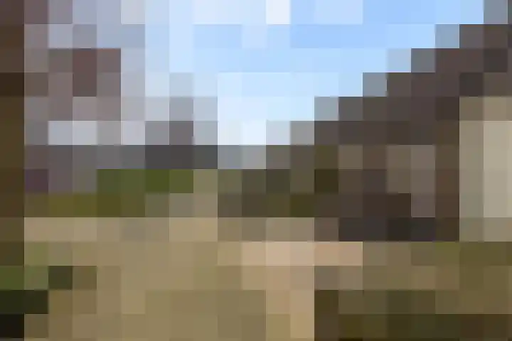 Wilgenlaan 13 Renswoude thumbnail 37