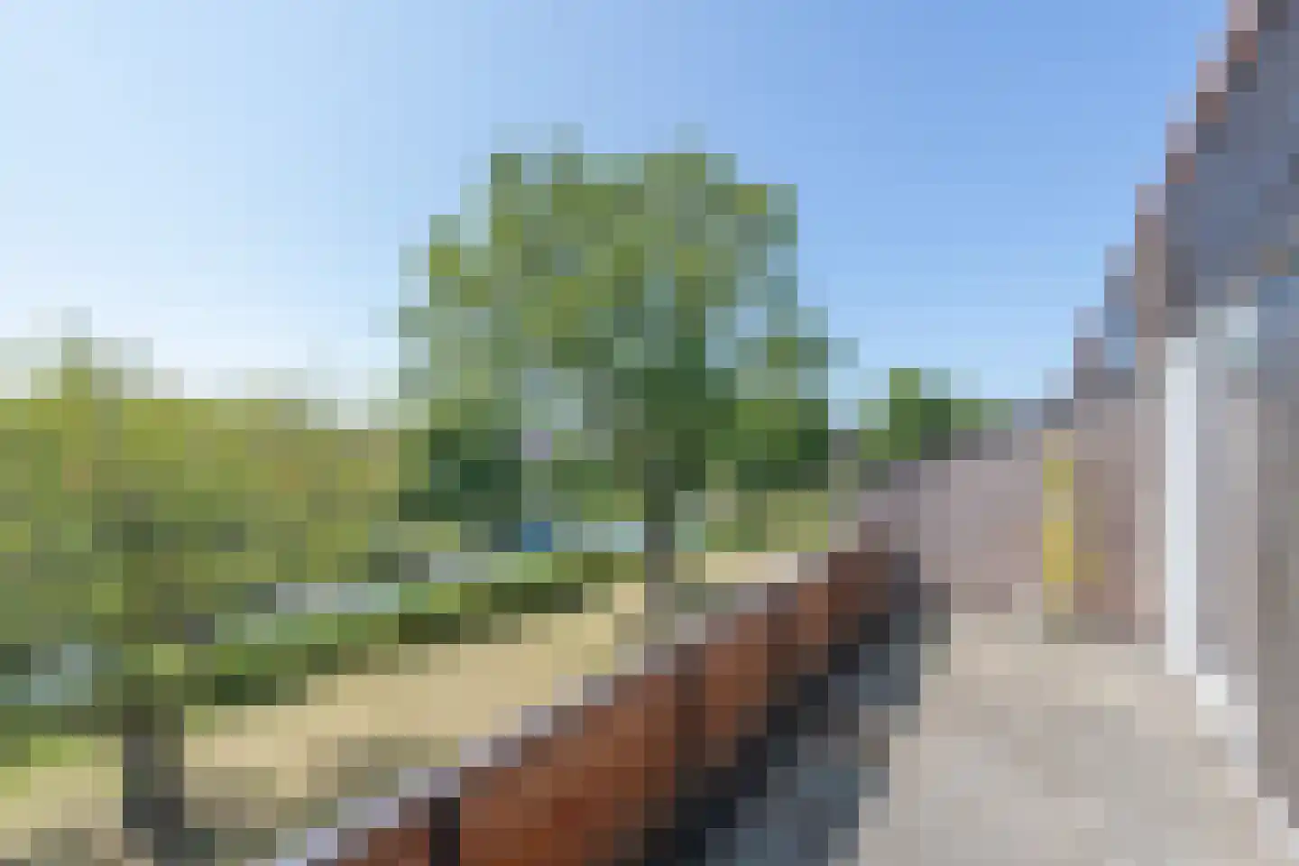 Wilgenlaan 13 Zuid-Scharwoude thumbnail 33