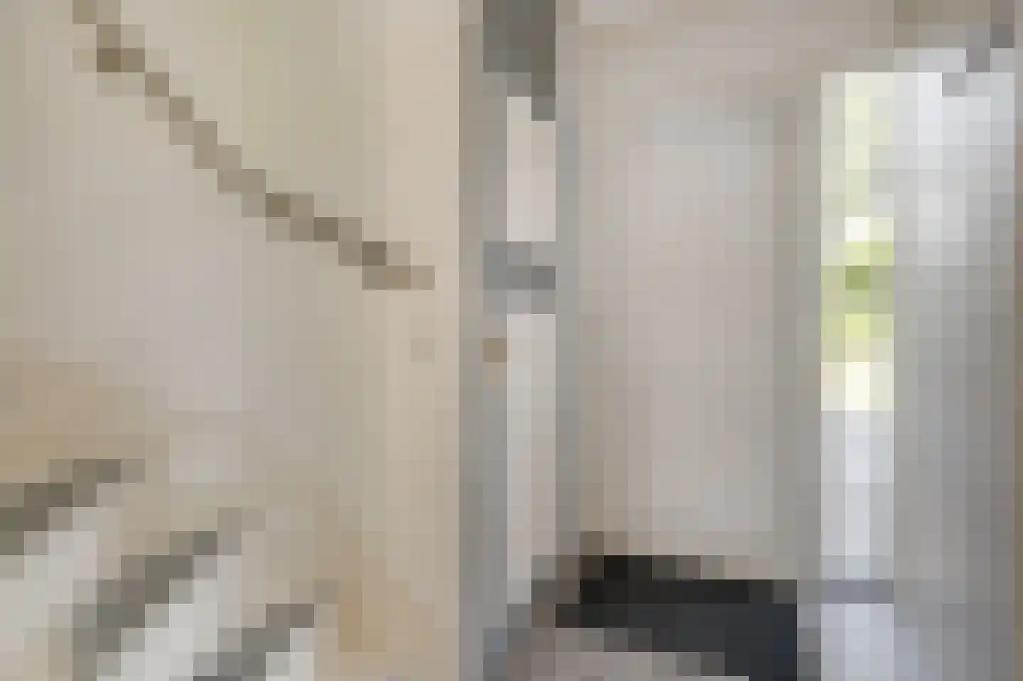 Wilgenlaan 132 Duiven thumbnail 8