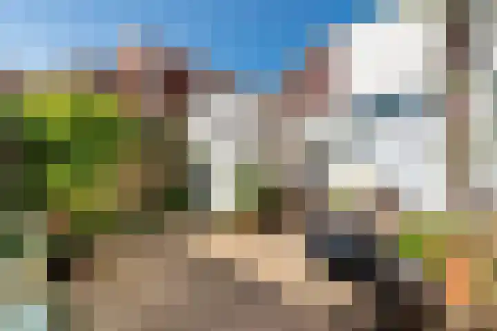 Wilgenlaan 138 Zwanenburg thumbnail 10