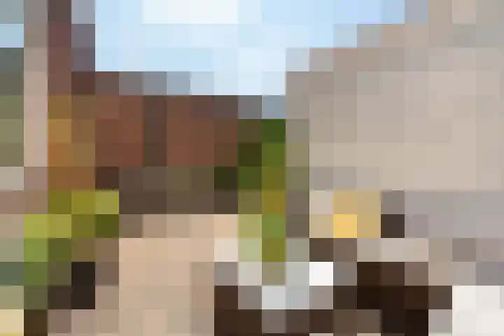 Wilgenlaan 138 Zwanenburg thumbnail 4