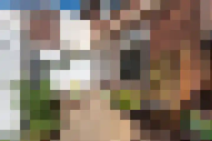 Wilgenlaan 138 Zwanenburg thumbnail 9