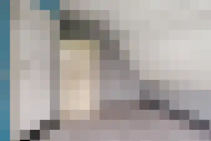 Wilgenlaan 14 A Dokkum thumbnail 34