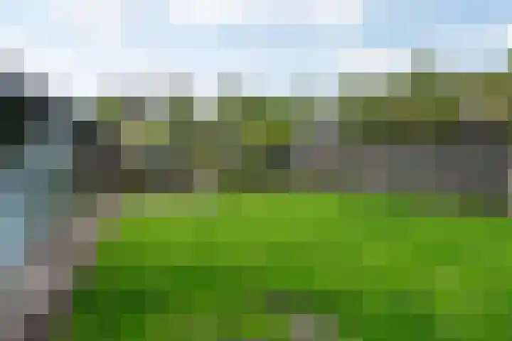 Wilgenlaan 14 A Dokkum thumbnail 39