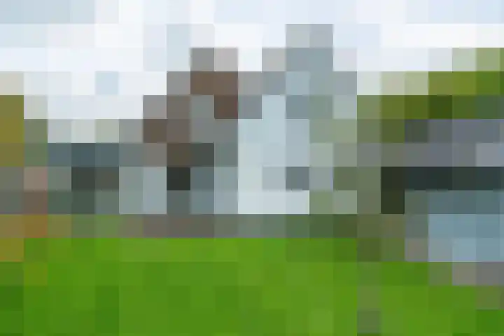 Wilgenlaan 14 A Dokkum thumbnail 43