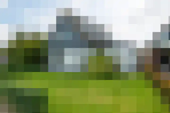 Wilgenlaan 14 A Dokkum thumbnail 8