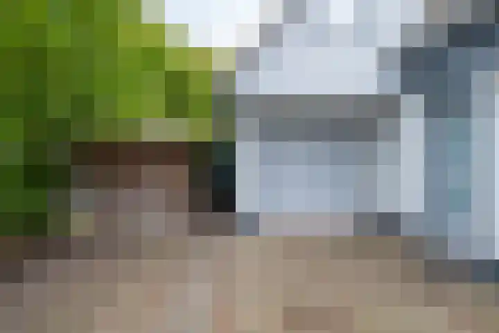Wilgenlaan 14 A Dokkum thumbnail 9