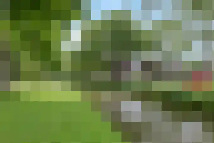 Wilgenlaan 14 Dordrecht thumbnail 61