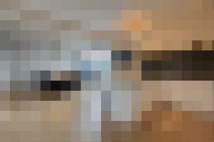 Wilgenlaan 142 Duiven thumbnail 12